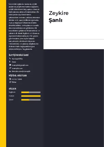 Hasta ve Yaşlı Bakım Elemanı Cv Örnekleri cv indir